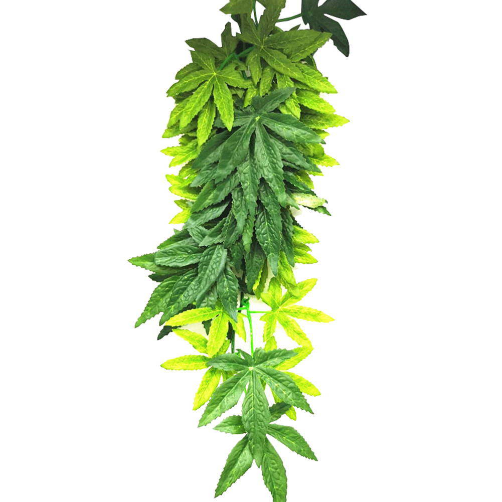HEIßER VERKAUF 30/40/50CM Aqua – Aquarium Plants For Sale Bewertung und Preis