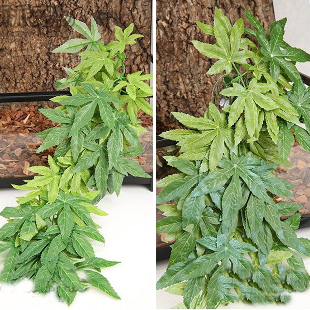 HEIßER VERKAUF 30/40/50CM Aqua – Aquarium Plants For Sale Bewertung und Preis