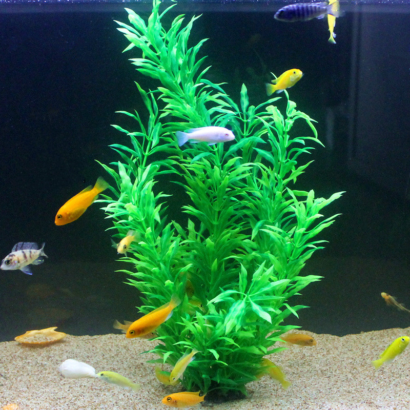 50CM Künstliche Aquarium Selte – Aquarium Planted Fish Bewertung und Preis