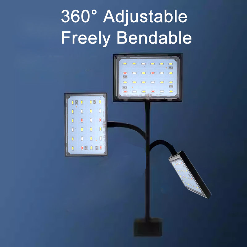 Aquarium Fischbecken Vollspekt – Planted Aquarium Cycling Bewertung und Preis