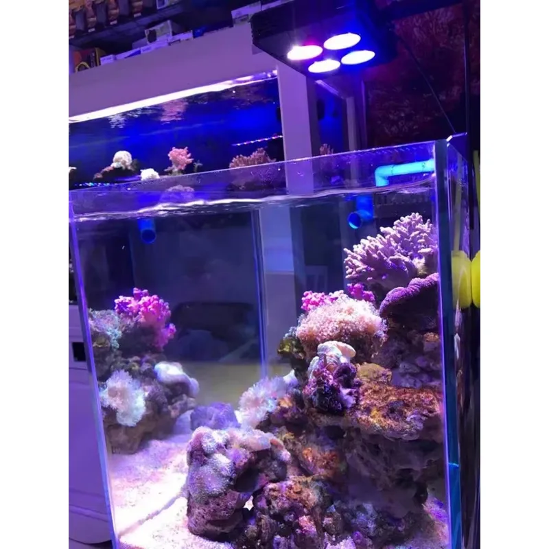 Gako A052 52W Bestseller Aquar – Aquarium Plants For Sale Bewertung und Preis