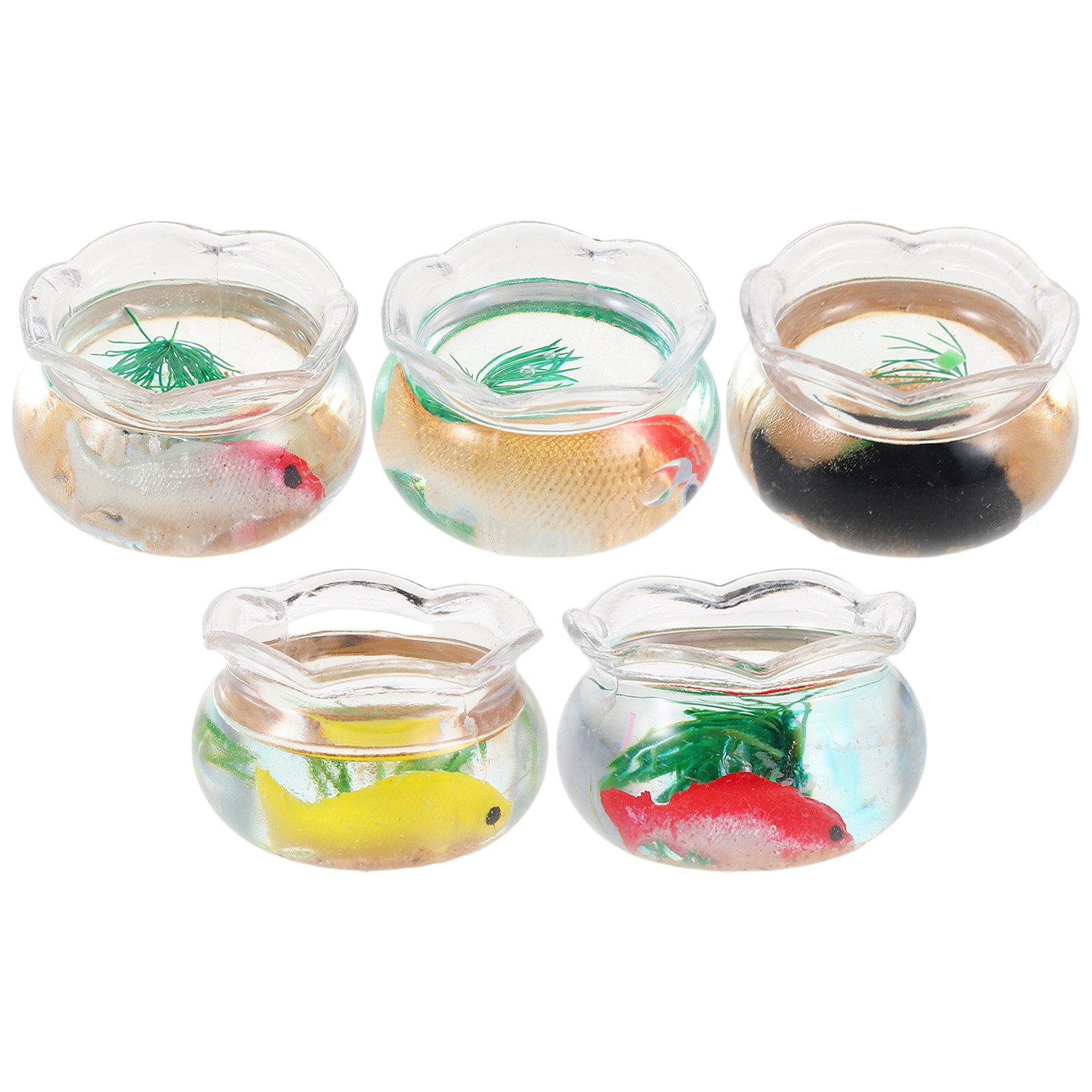 5 Stück Mini-Fischbecken, Klei – Aquarium Planted Fish Bewertung und Preis